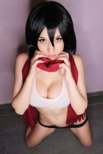 Mikasa (18).jpg