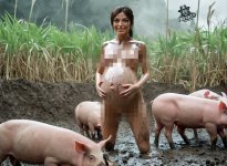 pregnant lara pigs cen.jpg