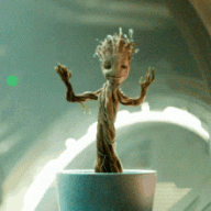 BabyGroot